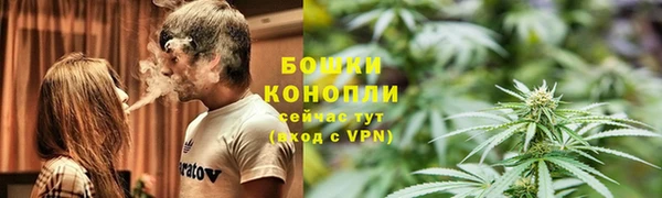 твердый Пестово