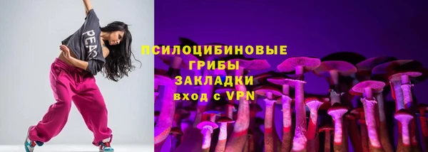 твердый Пестово