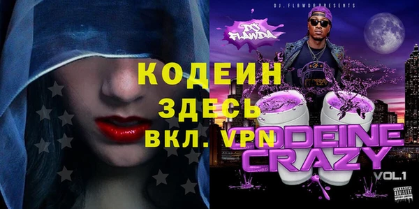 мдпв Дедовск