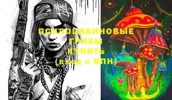 твердый Пестово