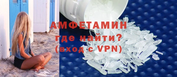 дживик Разумное