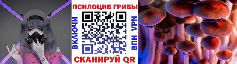 Псилоцибиновые грибы Magic Shrooms Аткарск